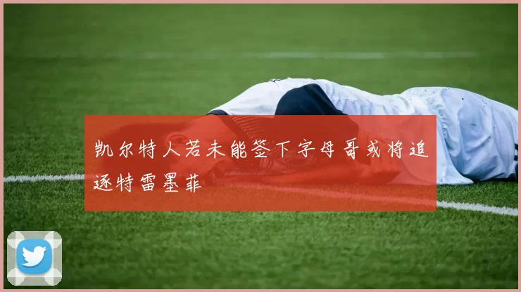 凯尔特人若未能签下字母哥或将追逐特雷墨菲